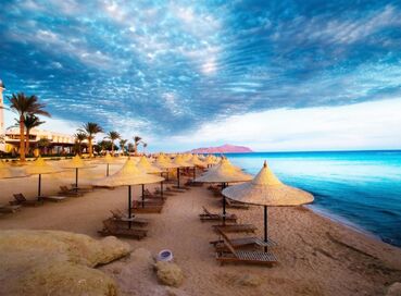 Sharm El Sheikh & Kahire Turu PGS İle 4 Gece (İ0171)